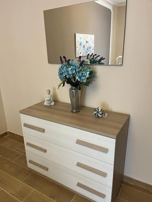 Attico Briccarello -Intero Appartamento- Elegant Suite With Free Wifi Near Inalpi Arena And Sporting Club Torino-Olimpyc Stadium エクステリア 写真